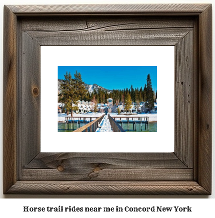 horse trail rides near me in Concord, New York